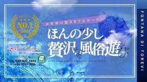 愛媛 松山 道後 キングヘルス トレビの泉 お客様の口コミで広がった・・・ほんの少し贅沢な風俗遊び